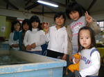 IMGP0028.JPG